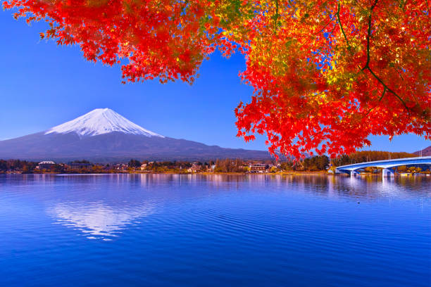 monte fuji e foglie autunnali - volcano mt fuji autumn lake foto e immagini stock