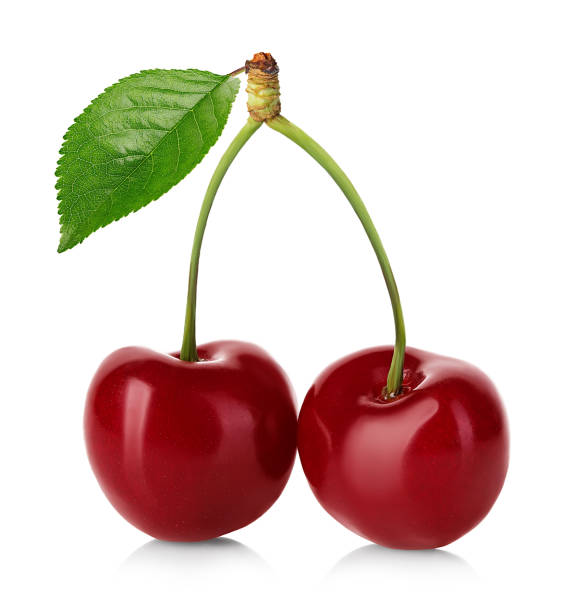 istock Cherry isolated. Cherries with leaf. Cherry with leaves isolated on white background. 1220291908