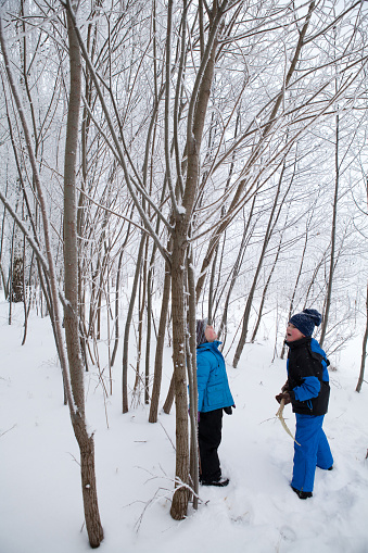 January 14, 2013 - Vilnius, Lithuania: winter games - two small boys playing in deep snow in cold winter in the bushes wearing blue warm clothing
