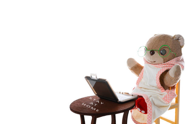 istock The bear who has to work from home because of the virus 1220296447