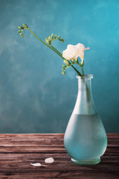 istock white  freesia in glass vase on dark background 1220298013