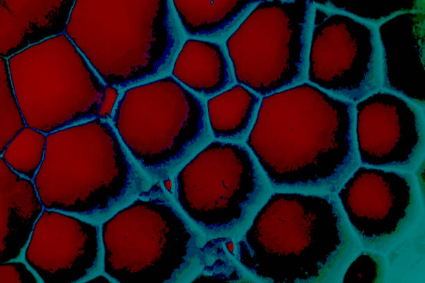 istock Abstract holes which looks like honey comb 1220298163