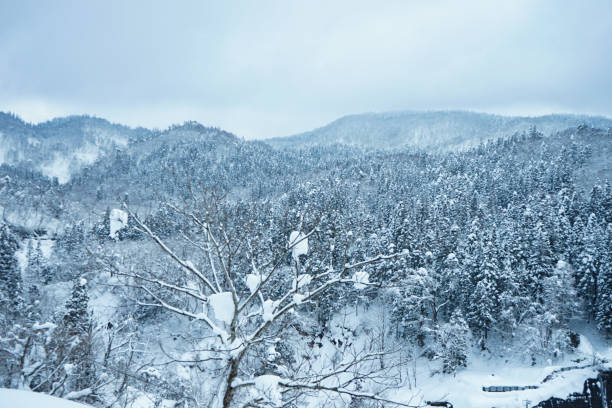 istock Ginzan hot spring in Yamagata during winter season. 1220300531