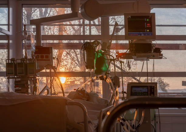 Patient connected to medical ventilator, and to monitor in ICU in hospital,  the windows sun rises. stock photo