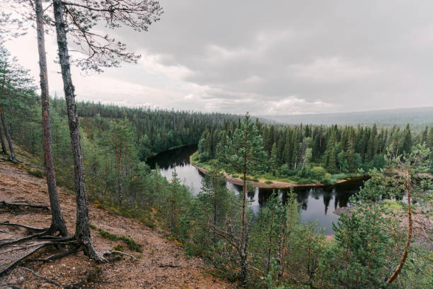 Scenic view of river in forest, Finland