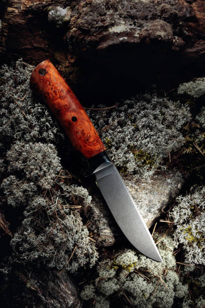 istock Hunter combat hand made knife on a moss in forest.  Top view. 1220304136