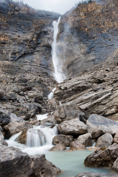 타카카우 앳 가을 - awe beauty in nature waterfall cool 뉴스 사진 이미지