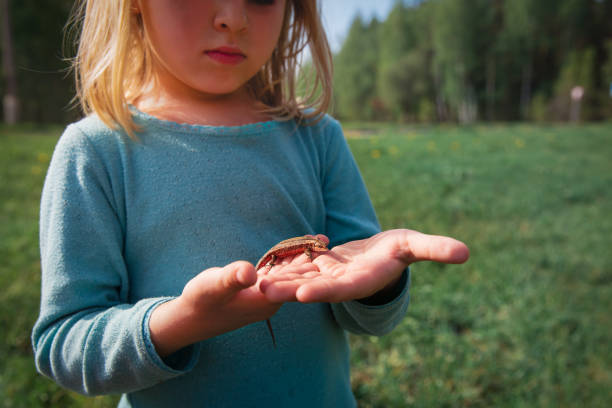 istock little girl holding and exploring lizard in nature 1220305905