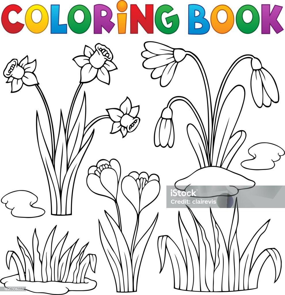 색칠 공부 이른 봄 꽃 세트 1 갈란투스에 대한 스톡 벡터 아트 및 기타 이미지 - 갈란투스, 개화기, 계절 - Istock