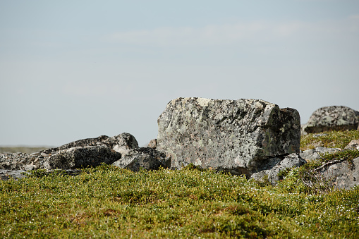 A large rectangular stone covered with moss on the foggy landscape