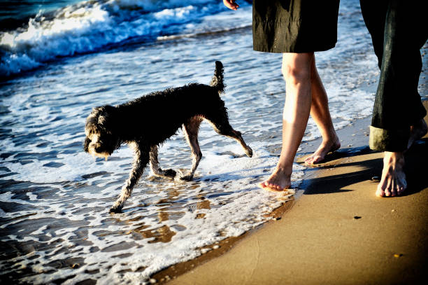 istock man and woman walking on a golden sandy beach 1220309652
