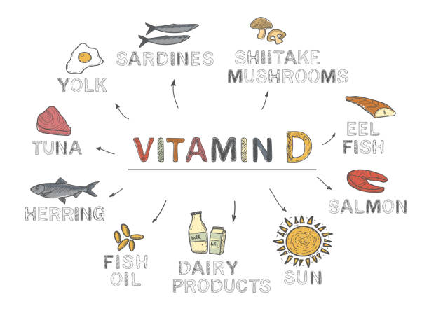 ilustraciones, imágenes clip art, dibujos animados e iconos de stock de vitamina d, infografías. alimentos ricos en vitamina d. productos naturales sobre fondo blanco - fish oil nature nutritional supplement healthcare and medicine