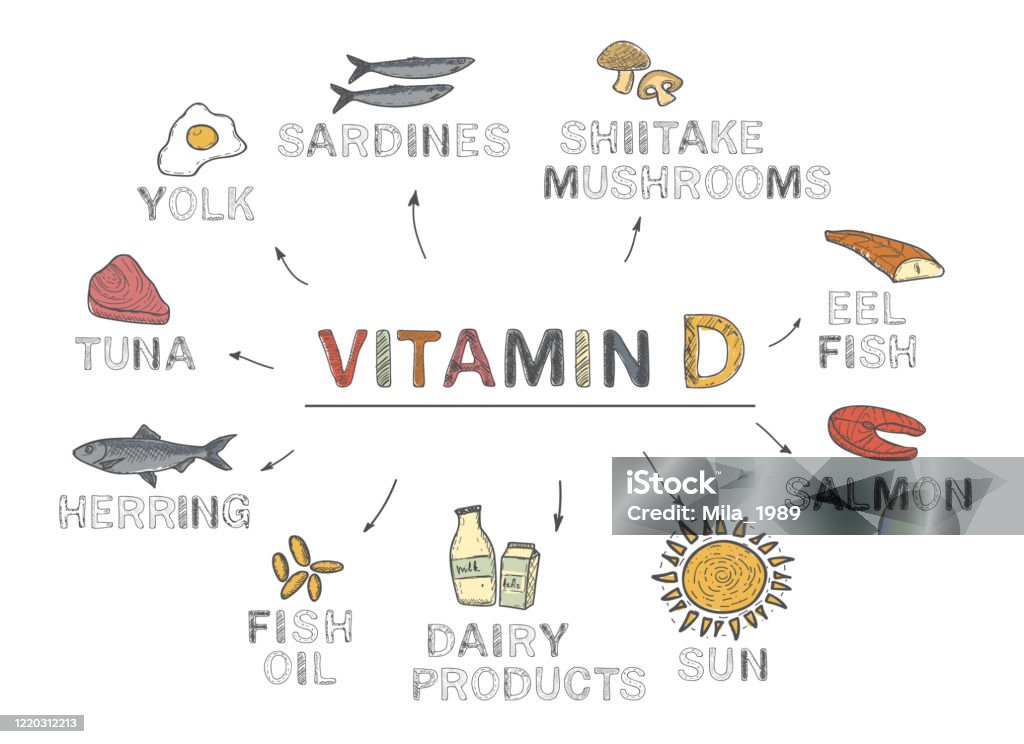Vitamin D, infographics. Foods rich in vitamin D. natural products on white background - Royalty-free Vitamina D arte vetorial