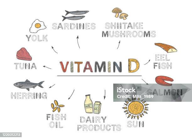 Vitamin D Infographics Foods Rich In Vitamin D Natural Products On White Background - Arte vetorial de stock e mais imagens de Vitamina D