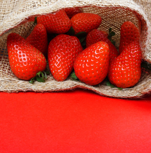 istock Organic fresh Strawberries in burlap-hessian. Real fruit berries at red background with copy space for your own text. Own grown Strawberry for milkshake or smoothie. Healthy food. 1220313113