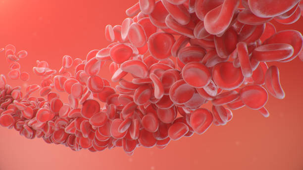 Red blood cells on a red background. Flow of blood in a living organism. Scientific and medical concept. Transfer of important elements in the blood to protect the body. 3d illustration Red blood cells on a red background. Flow of blood in a living organism. Scientific and medical concept. Transfer of important elements in the blood to protect the body, 3d illustration red blood cell photos stock pictures, royalty-free photos & images