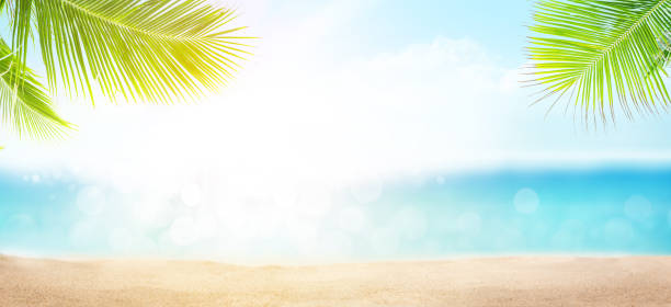 istock Summer tropical sea with beach, palms and blue sunny sky 1220321329