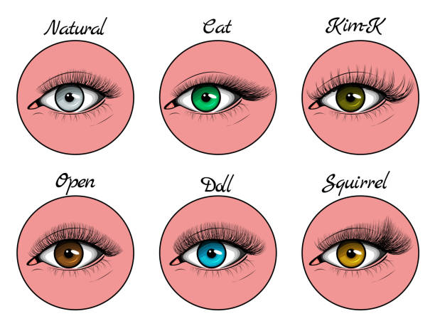 Instagram story highlight covers with different types of lashes sets on blue, green, grey and brown eyes Instagram story highlight covers with different types of lashes sets on blue, green, grey and brown eyes. Vector illustration on flat and hand drawn style. clump eyelashes stock illustrations