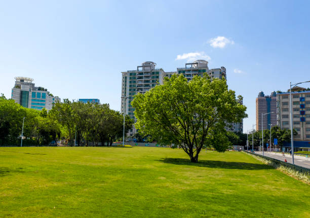 istock Community buildings and parks 1220329570