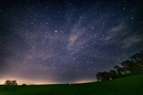 A majestic tree situated in the foreground of an illuminated starry night sky, in long exposure