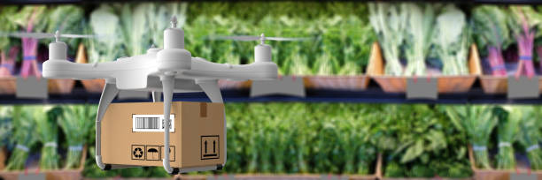 istock Delivery drone carrying groceries 1220330117
