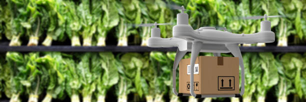 istock Delivery drone carrying groceries 1220330202