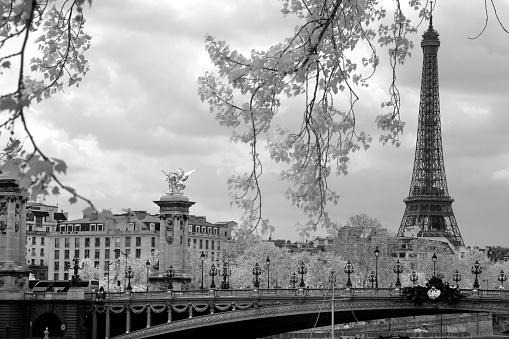 The Eiffel Tower and Alexandre III bridge in Paris, France