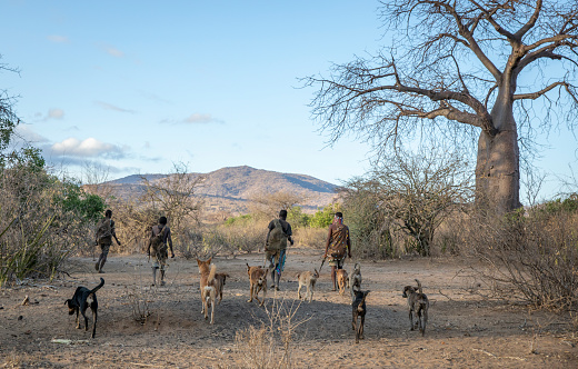 lake ayasi, Tanzania, 11th September 2019: Hadzabe men going for hunt in a morning with their dogs