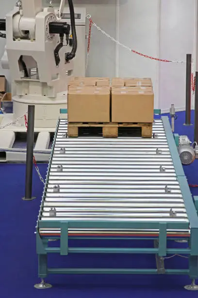 Palletizer for Boxes at Conveyor Rollers Cargo Delivery