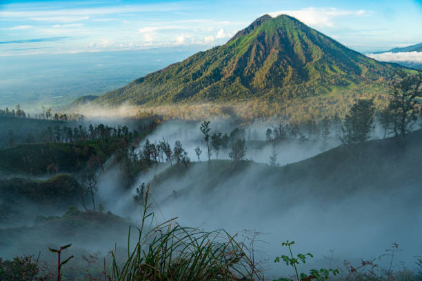 istock mystic moody view around Mount Ijen 1220337762