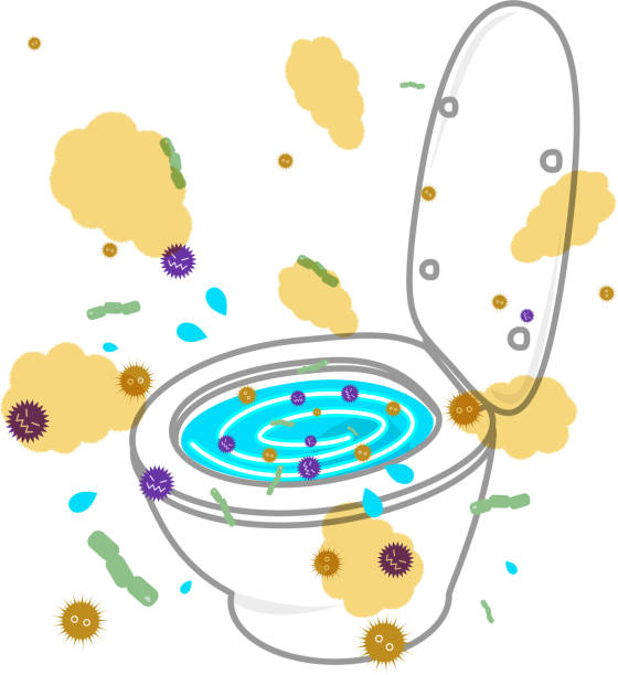 zapach toalety i grzyba. - virus unpleasant smell fungus animal stock illustrations