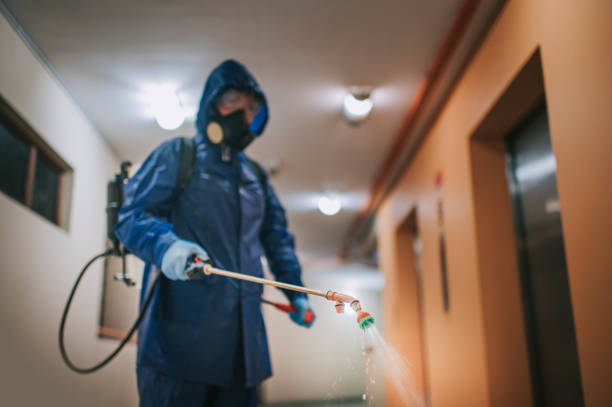 une femme en combinaison de protection pulvérisant la maison et désinfectant le virus antiparasitaire exterminateur de couloir - worker termite photos et images de collection