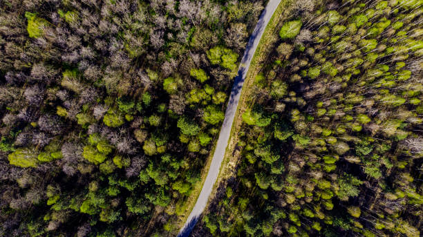 istock Aerial Drone View Over Road Trough Forest 1220342979