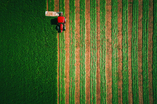 Tractor mowing green field, aerial top view