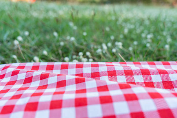 istock Red checkered tablecloth texture with on green grass at the garden 1220348423