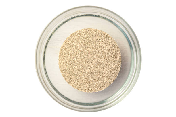 istock ingredients for baking Dry yeast crumbled and yeast block for baking. 1220348687