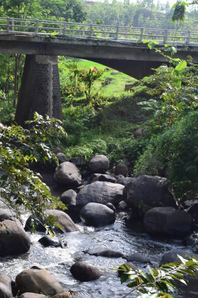 istock Mountain river with stream and high water 1220348846