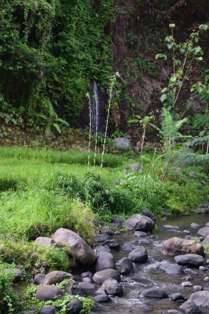 istock Mountain river with stream and high water 1220349078