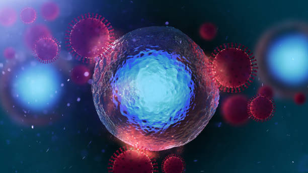 istock Virus attacks cell. Coronavirus COVID-19 under the microscope. 3d illustration 1220350279