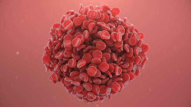 Red blood cells background, blood clot. Scientific and medical microbiological concept. Enrichment with oxygen and important nutrients. Transfer of important elements in the blood. Red blood cells background, blood clot. Scientific and medical microbiological concept. Enrichment with oxygen and important nutrients. Transfer of important elements in the blood. blood cell photos stock pictures, royalty-free photos & images