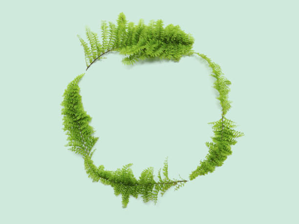 istock Fern leaves on green background. 1220351179