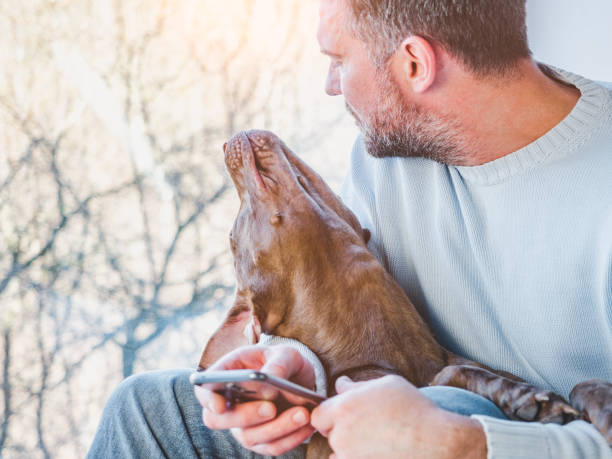 istock Handsome man and a charming puppy. Close-up 1220353164