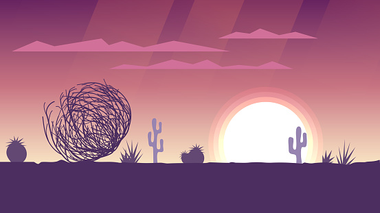 Tumbleweed rolls in the desert, sunset or sunrise with pink sky