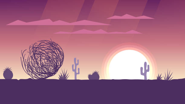 Tumbleweed rolls in the desert Tumbleweed rolls in the desert, sunset or sunrise with pink sky texas road stock illustrations