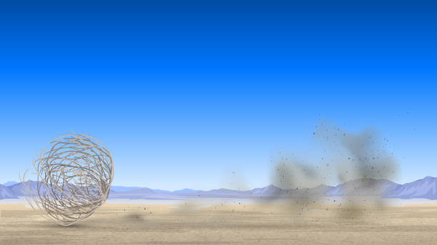 illustrazioni stock, clip art, cartoni animati e icone di tendenza di tumbleweed rotola nel deserto - desert dry land drought