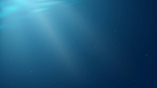 ilustrações de stock, clip art, desenhos animados e ícones de under water background - bottom sea