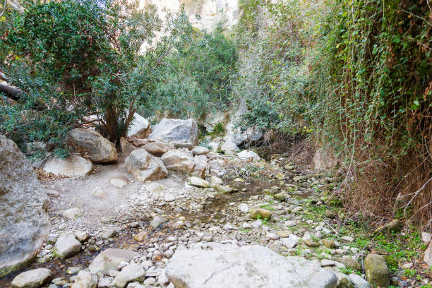 istock Path in avakas gorge, Hiking in the gorge on an autumn day. 1220355287