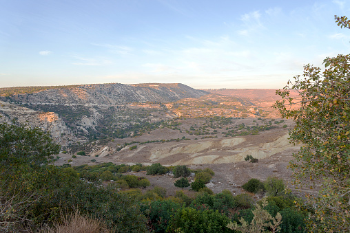 Landscape of Cyprus near Avakas Gorge. Wild nature. The concept of travel and tourism.