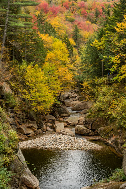 istock Flume gorge in Franconia Notch State Parke 1220358624