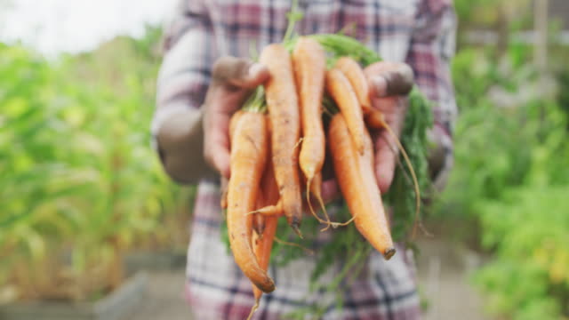Focus on African American man showing carrots at the camera